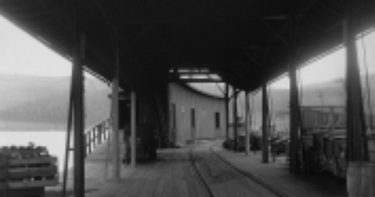 Bath & Hammondsport Covered Wharf in Hammondsport, NY — taken by J.E. Bailey, Photographer, Erie Railroad — circa 1900-1909